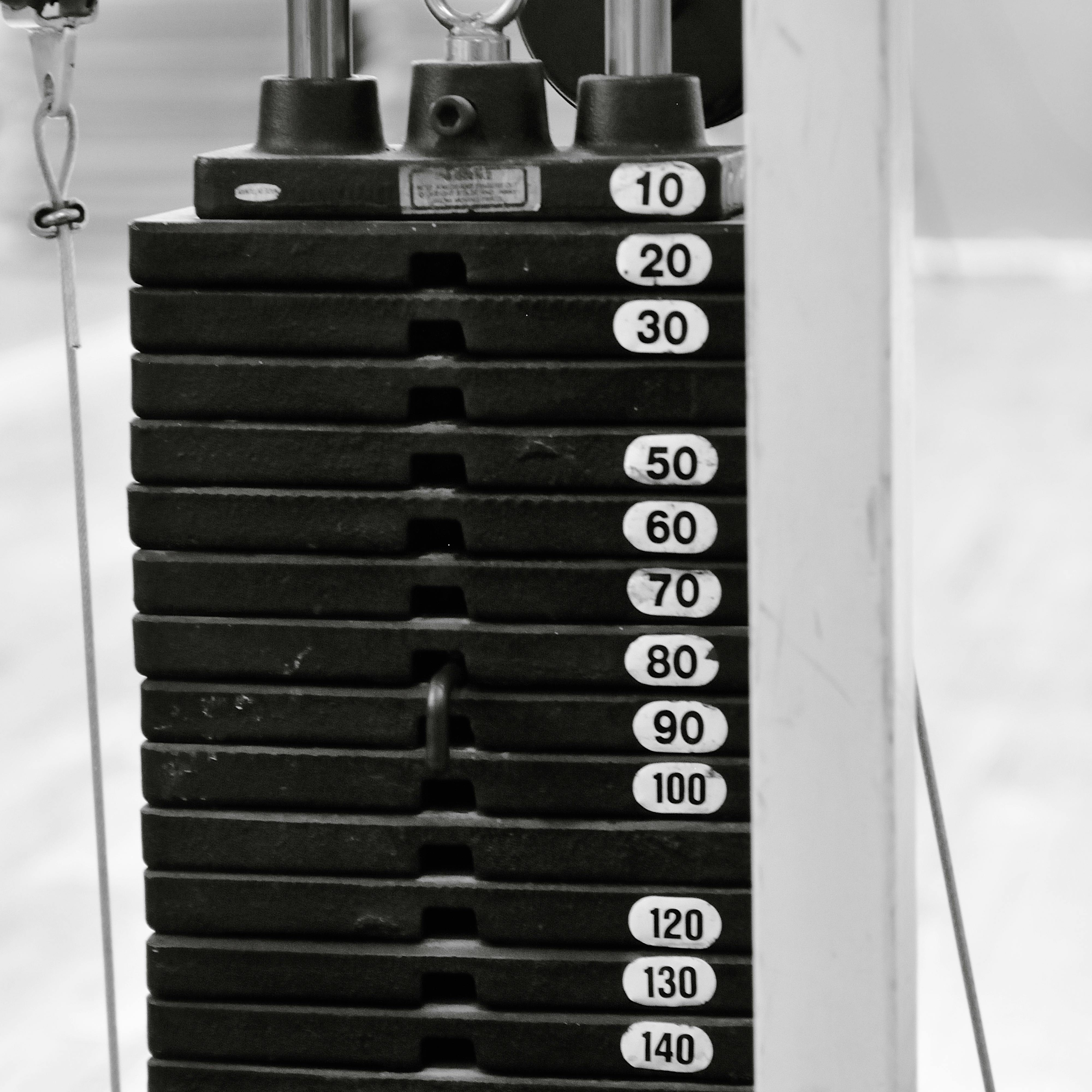 Members completing a HIIT circuit
