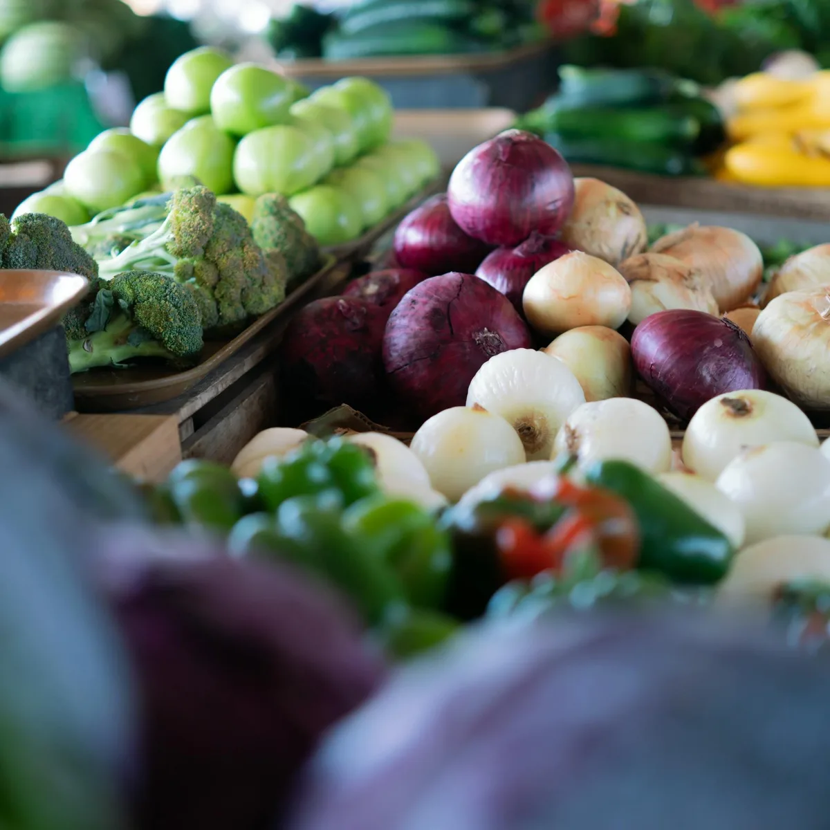 Local cheese maker presenting artisan cheese samples at Green Roots Market tasting event